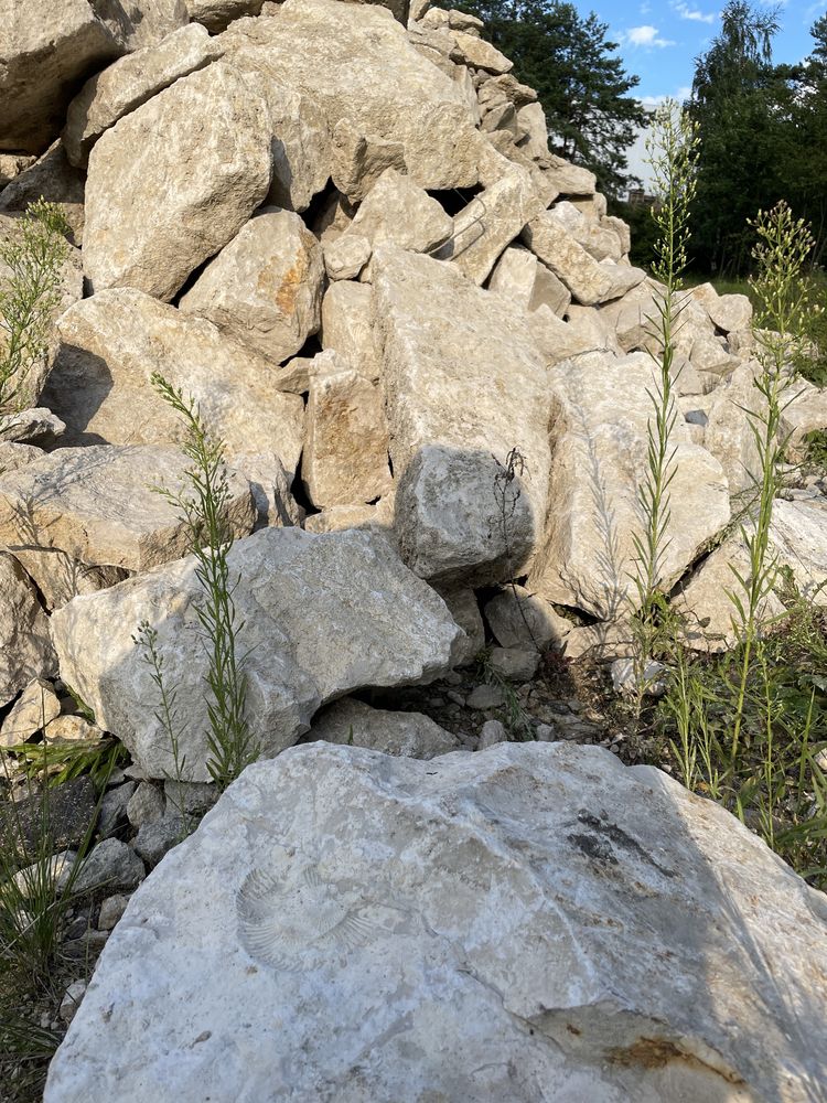 Kamień czysty gruby średni podbudowa na skalniak