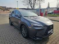 Lexus NX Igła Lexsus