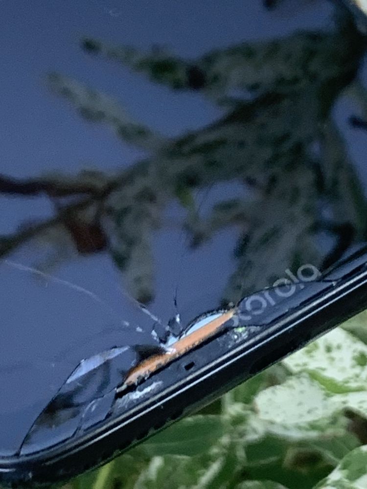 Motorola Edge 30 Neo, G7 Plus