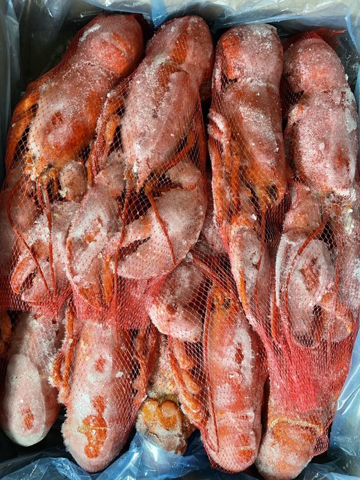 Лобстер (омар) варенно-морожений