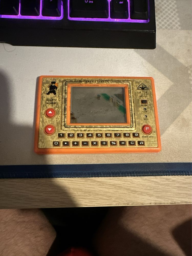 Thief in the Garden 1982 LCD