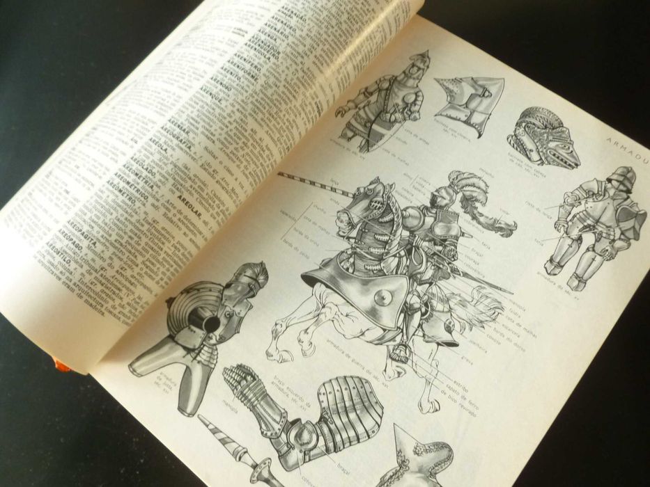 Dicionário Prático Ilustrado Luso - Brasileiro - Lello