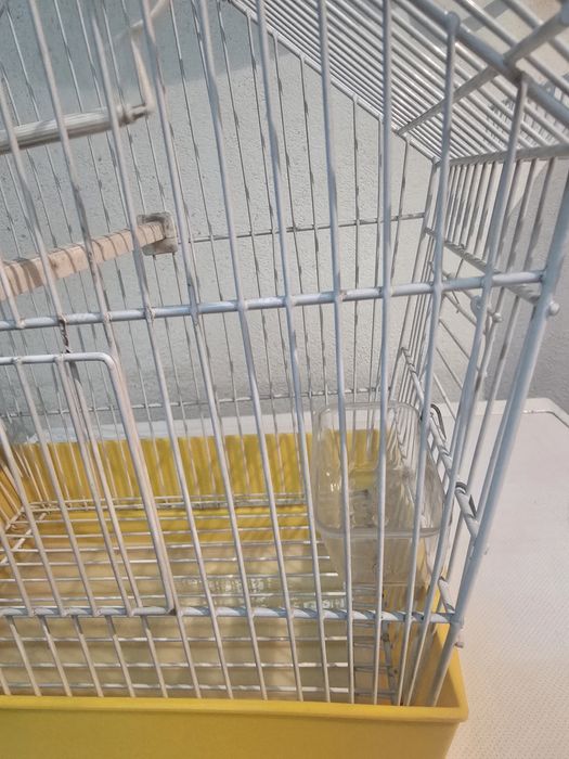 Gaiola para passaros