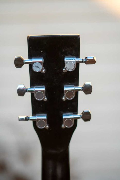 Tenson D1 Дренаут - акустична гітара