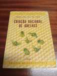 Criação racional de abelhas