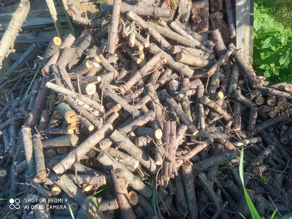 suche drewno liściaste do kuchni i kominka Klementowice 1mp