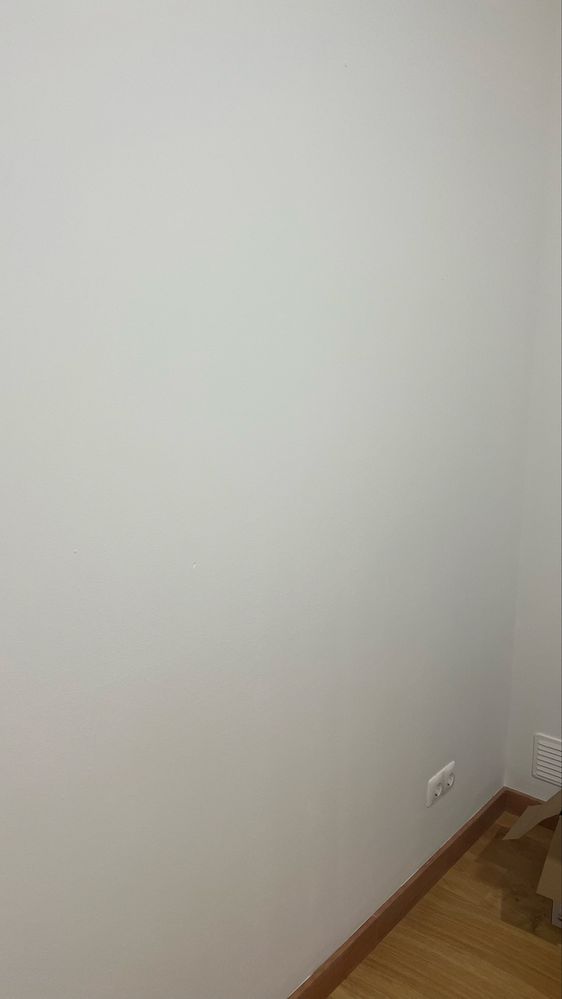 Serviço de Pintura no Geral (Ler Descrição)