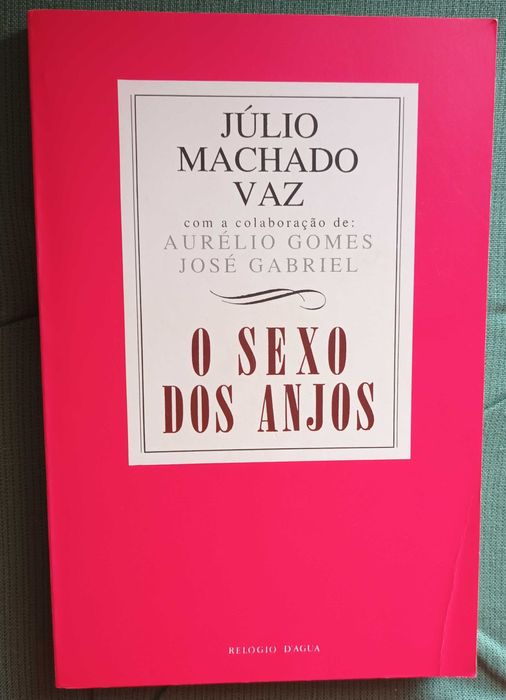 O sexo dos Anjos, de Júlio Machado Vaz