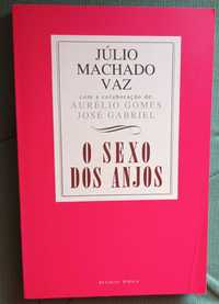 O sexo dos Anjos, de Júlio Machado Vaz