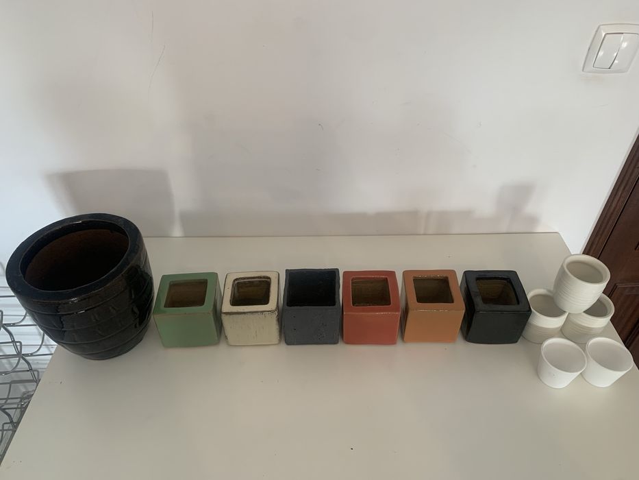 Conjunto com 12 vasos de plantas
