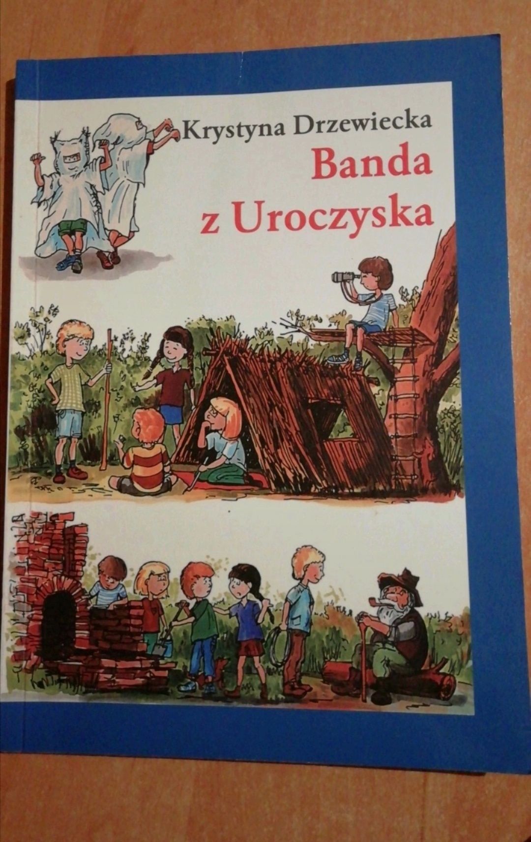 Książka "Banda z uroczyska" Krystyna Drzewiecka