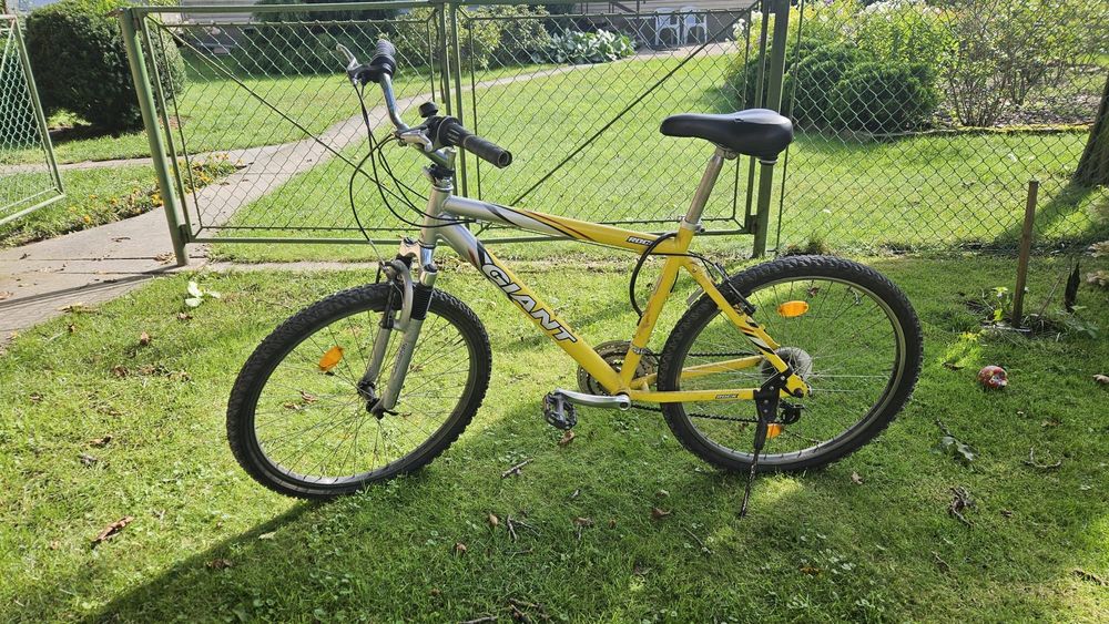 Rower Giant  Rama 17