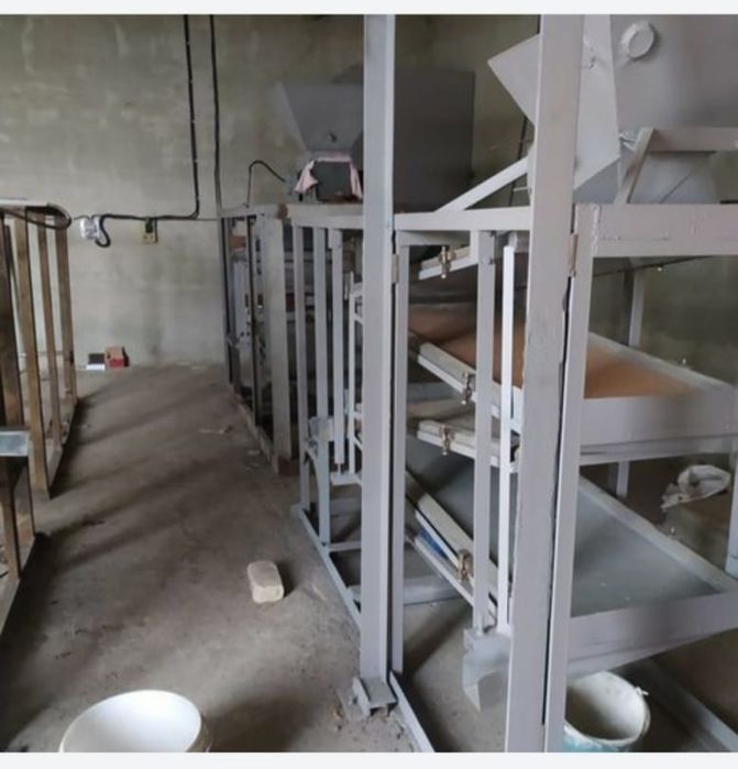 Крупорушка гречки.