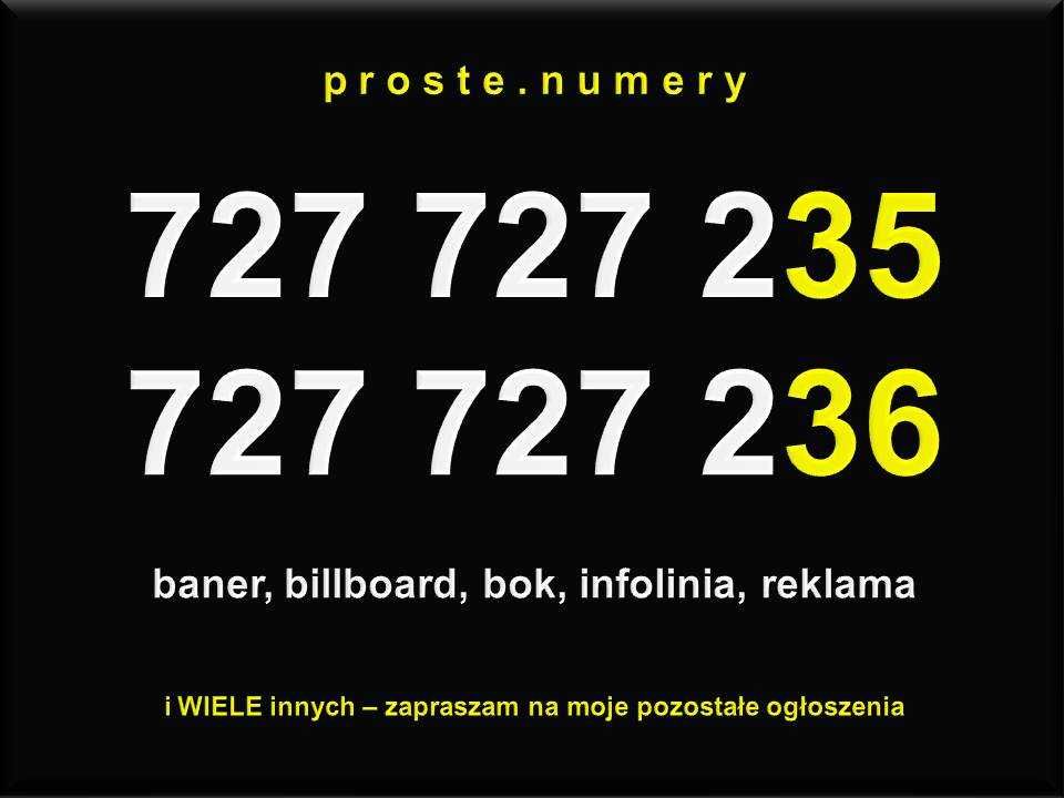 Prosty złoty numer proste złote numery SIM para zestaw firma VAT 23%