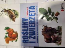 Rośliny i zwierzęta cz. 5/5 ssaki płazy gady 2008