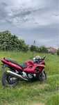 Suzuki  gsxf750