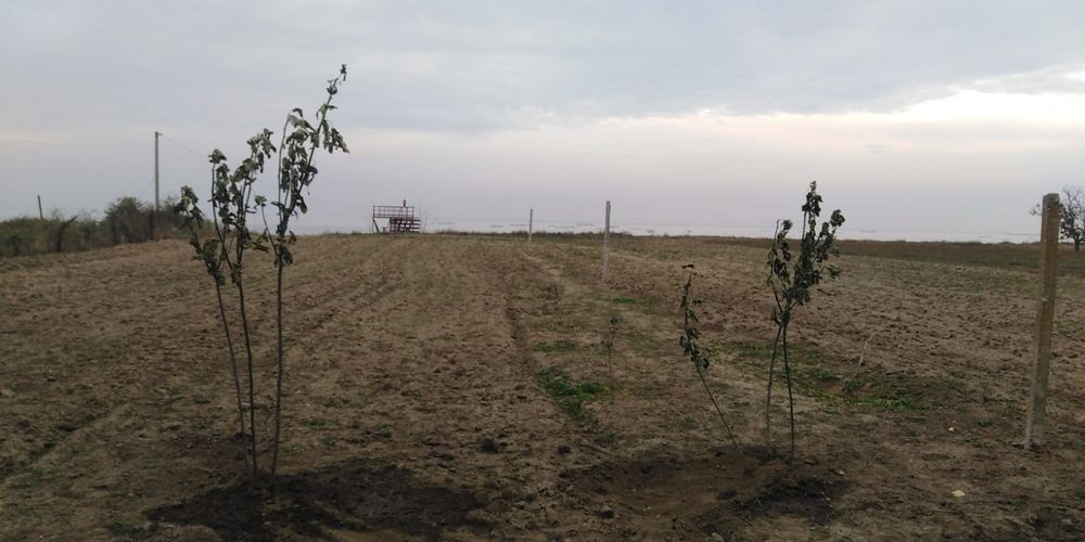 Терміновий продаж або обмін на авто або мікроавтобус  с.Куцуруб.