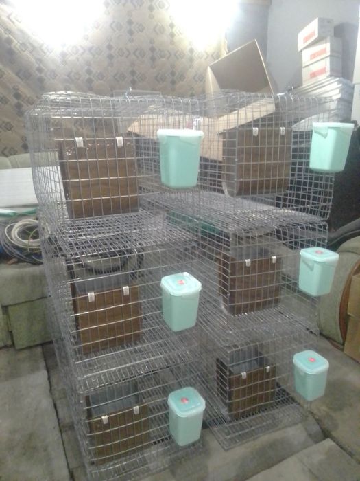 Клєткі для кроликів