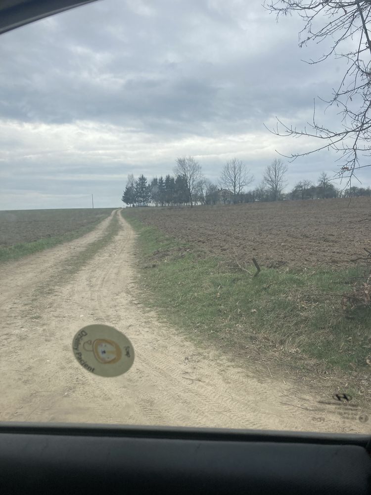 Zlece zebranie kamieni z pola, wybranie ptasiego nawozu