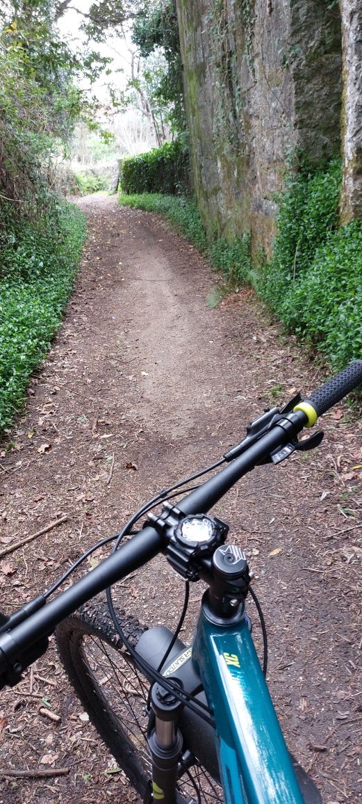 Bicicleta BTT aro 29 2022