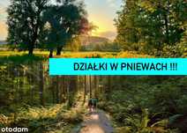 Działki budowlane w Pniewach przy lesie.