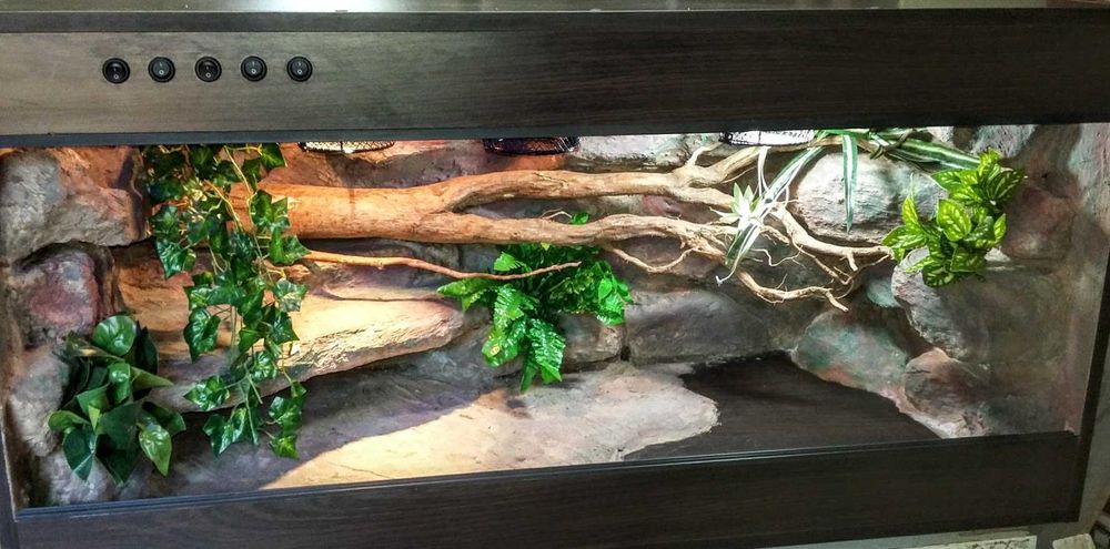 Terrarium dla węża na zamówienie 90x40x40