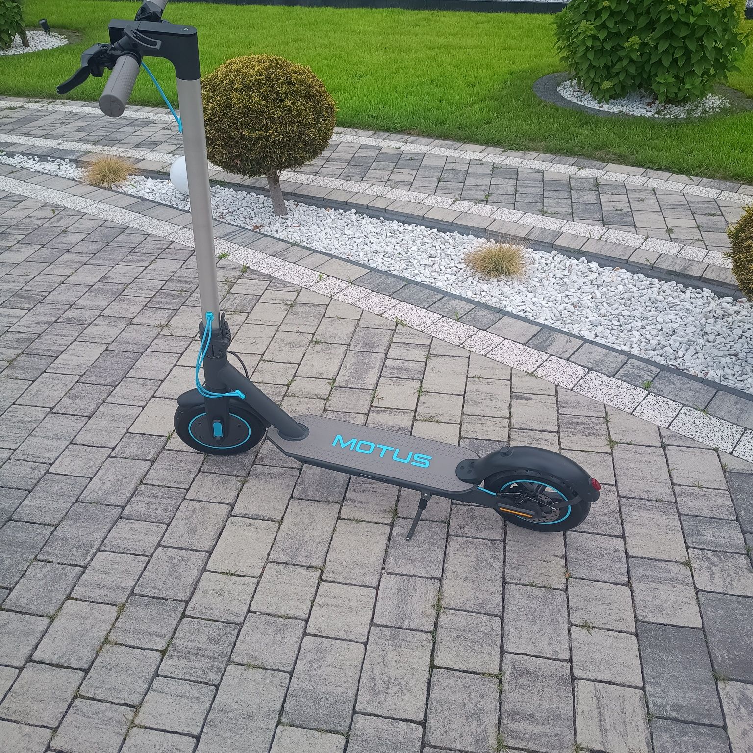 Motus Scotty 10 lite