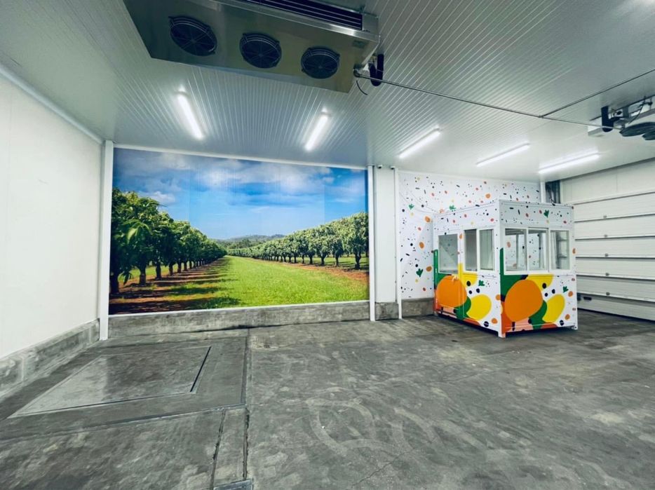 Aplicadores de Vinil