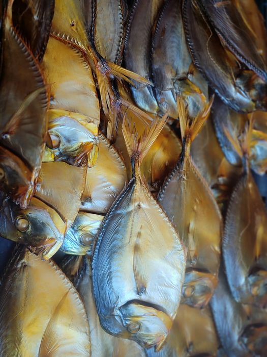 В'ялена густера в наявності опт та роздріб