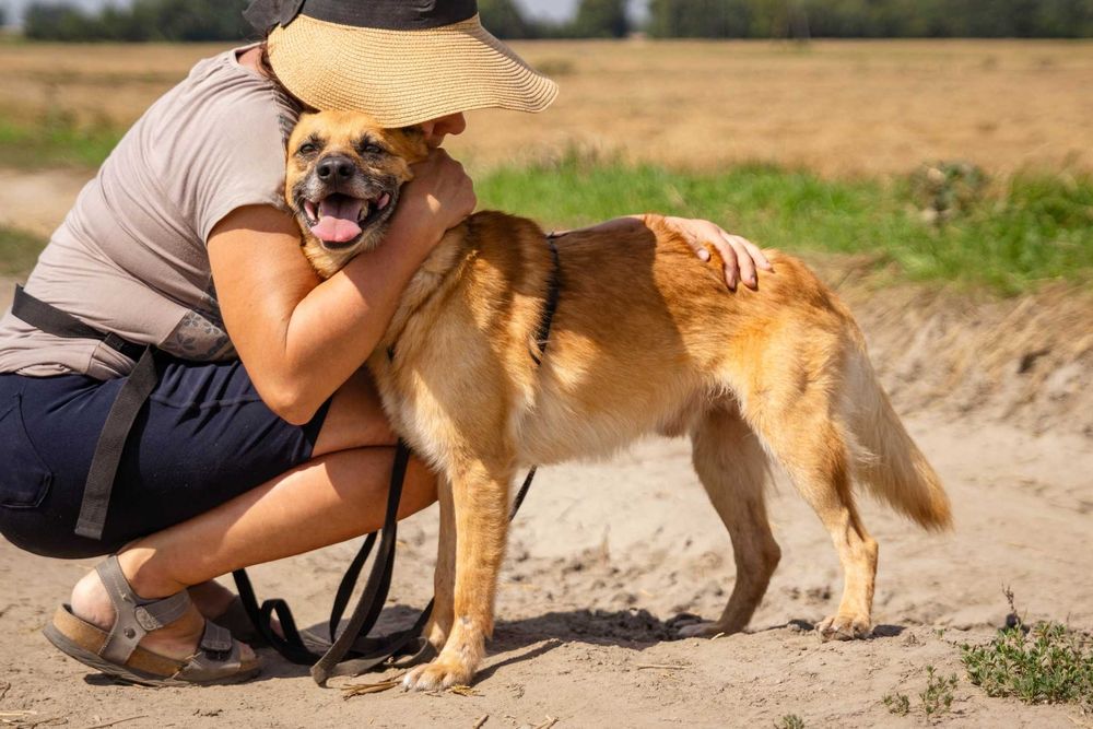 Niewielki łagodny Maniek szuka domku