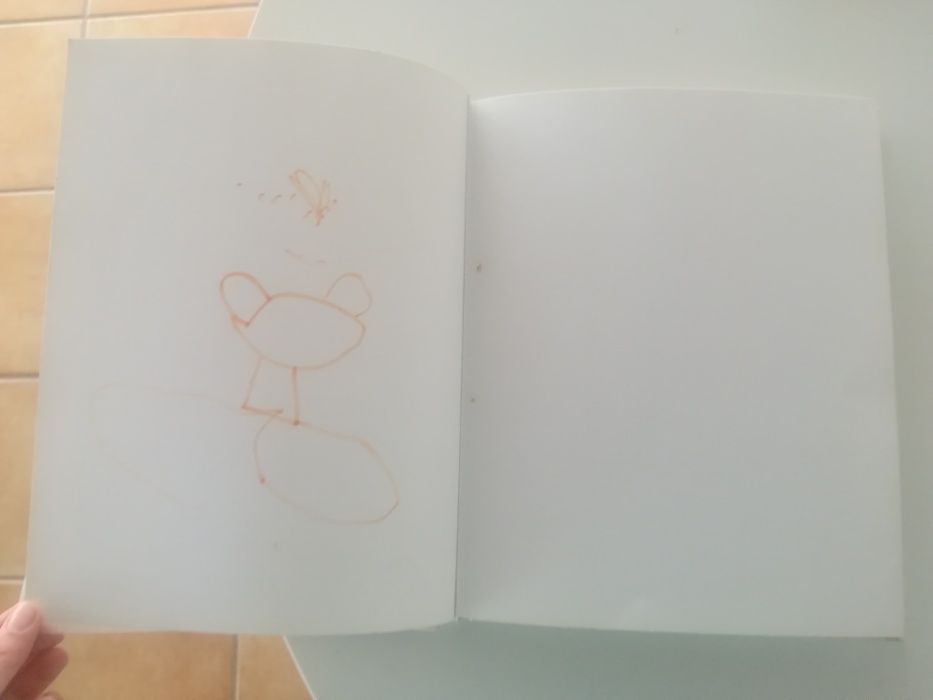 Álbum de Fotografias Mickey Disney