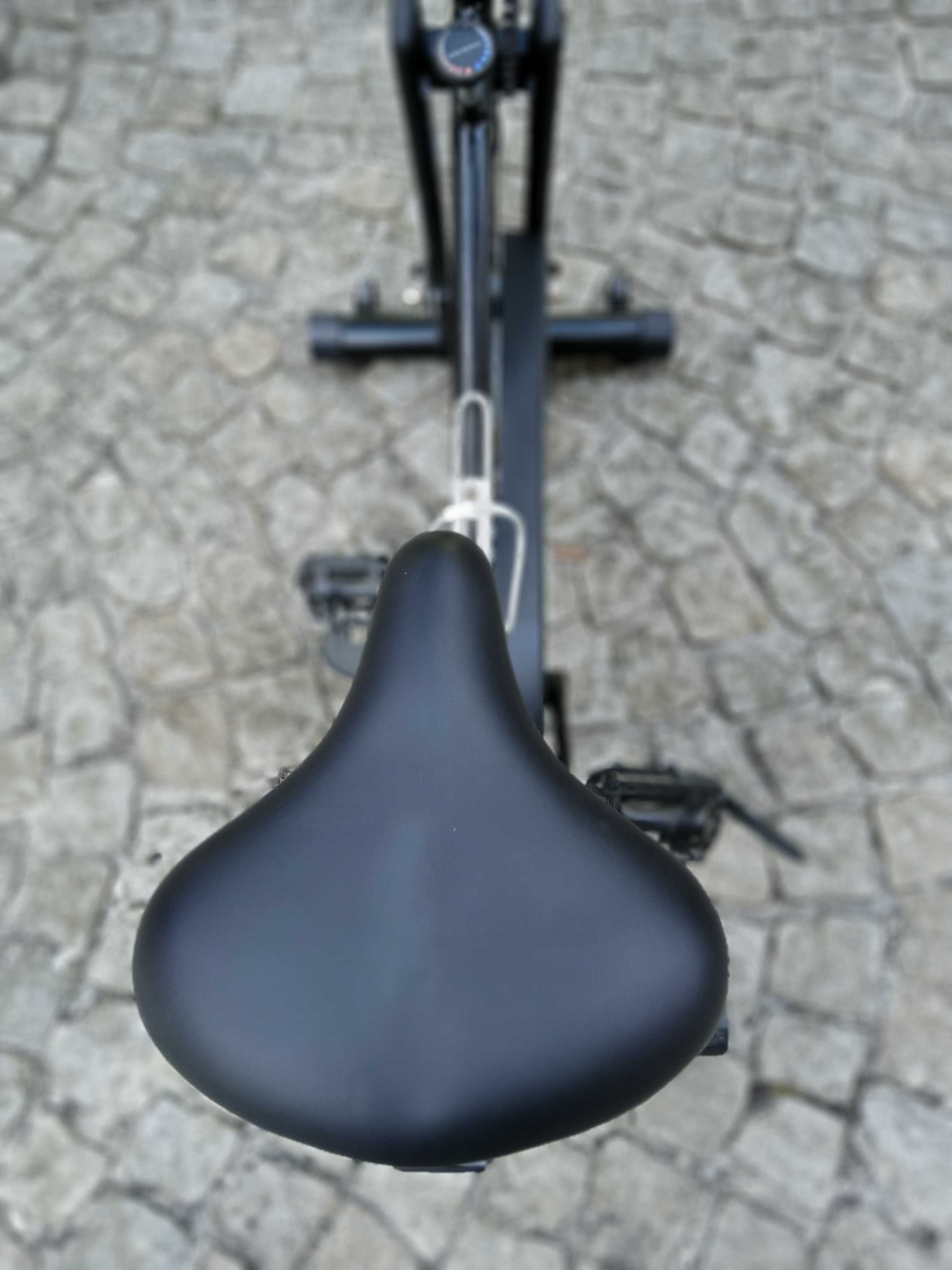 Biciclete de ginásio. Treino em casa.