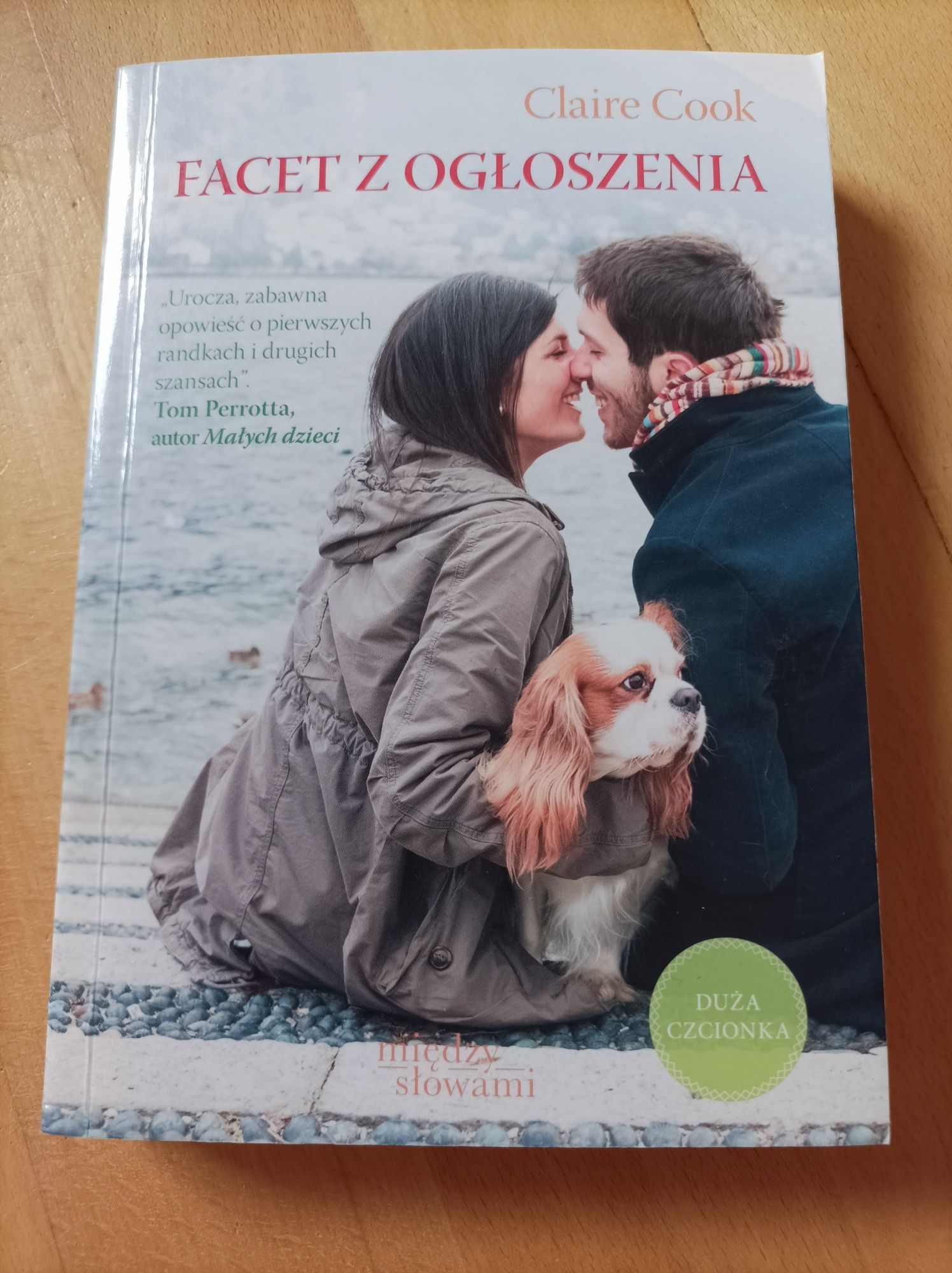 Książka Facet z ogłoszenia Claire Cook