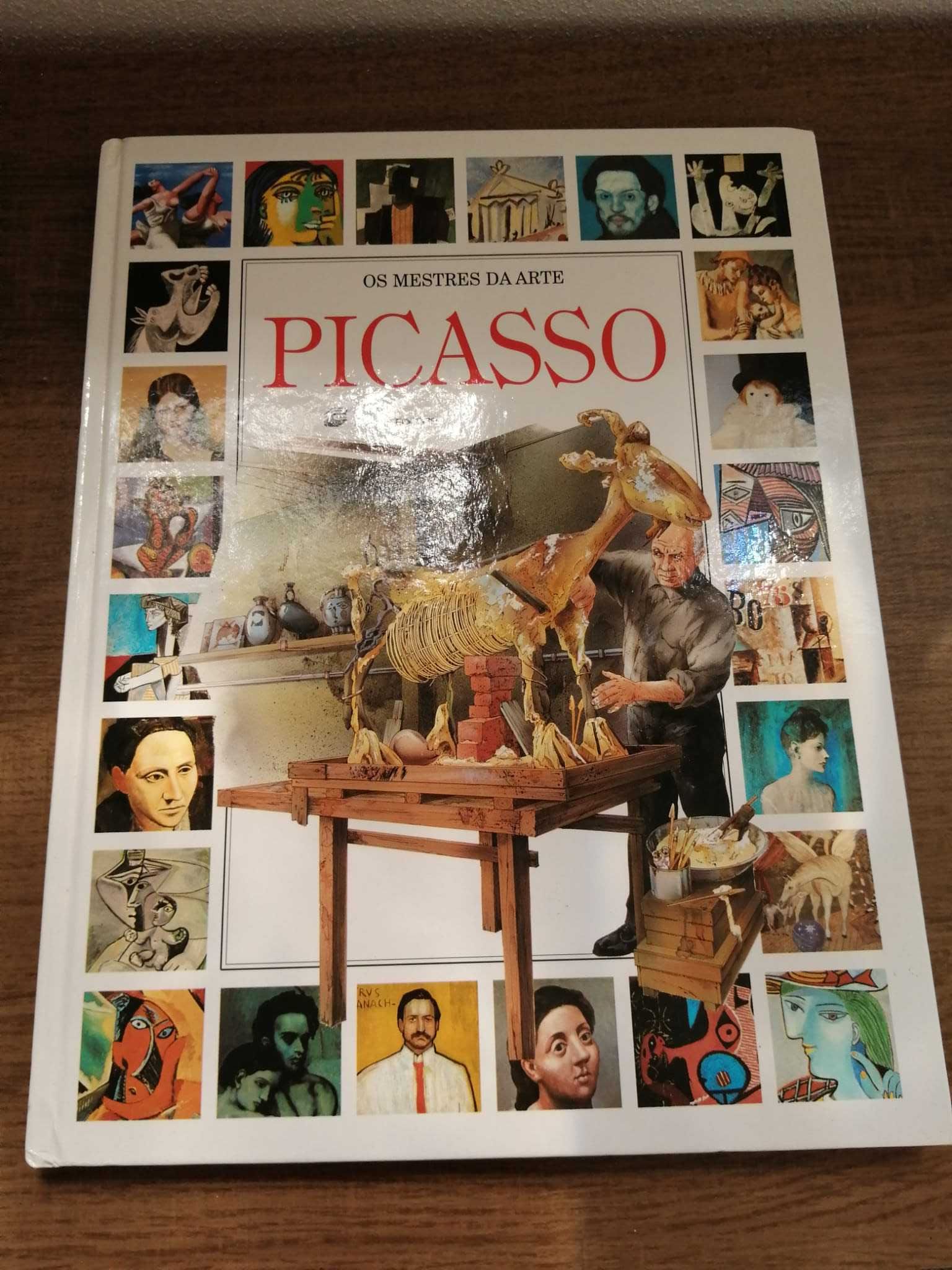 Livro/enciclopédia «PICASSO»