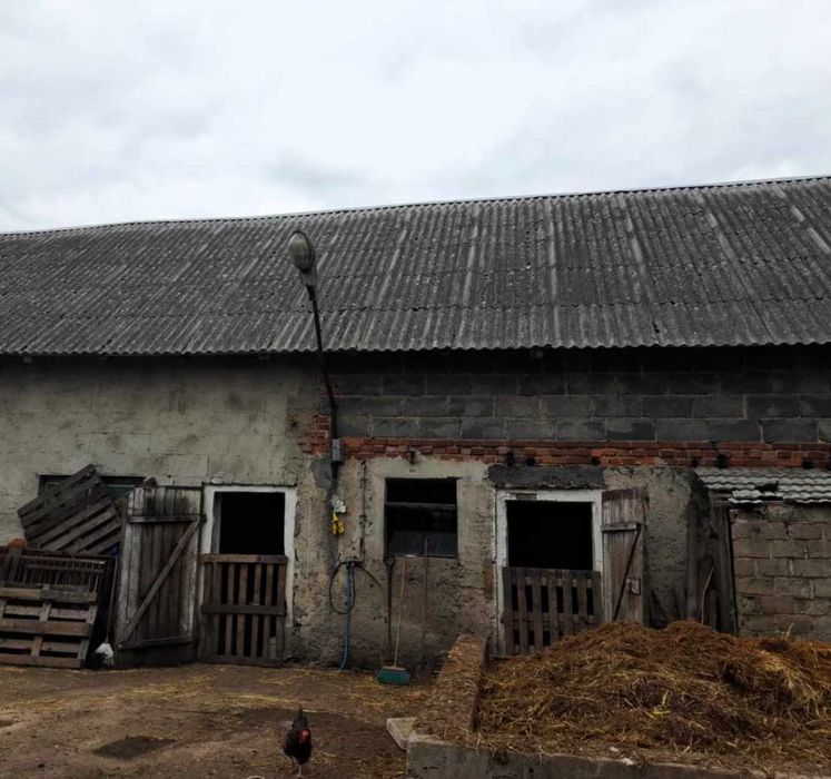 Odbiór i utylizacja eternitu, demontaż azbestu, pakowanie, rozbiórka