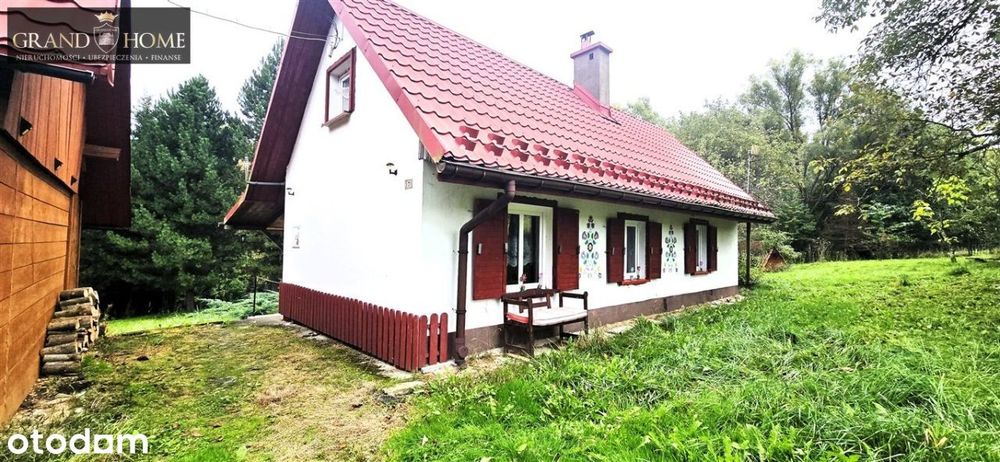 Oferta bez prowizji!