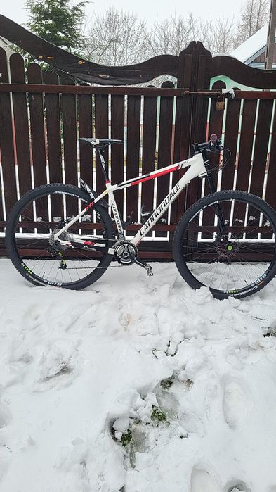 Cannondale f29 alu