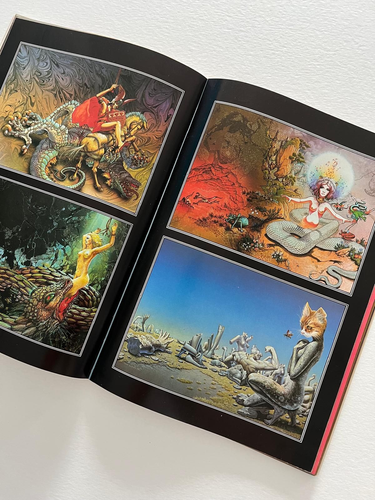 Ilustração  P.Woodroffe