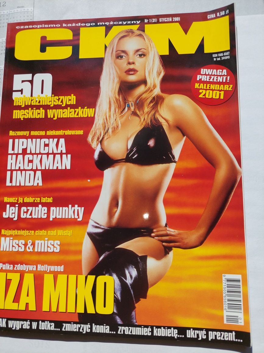 CKM styczeń 2001