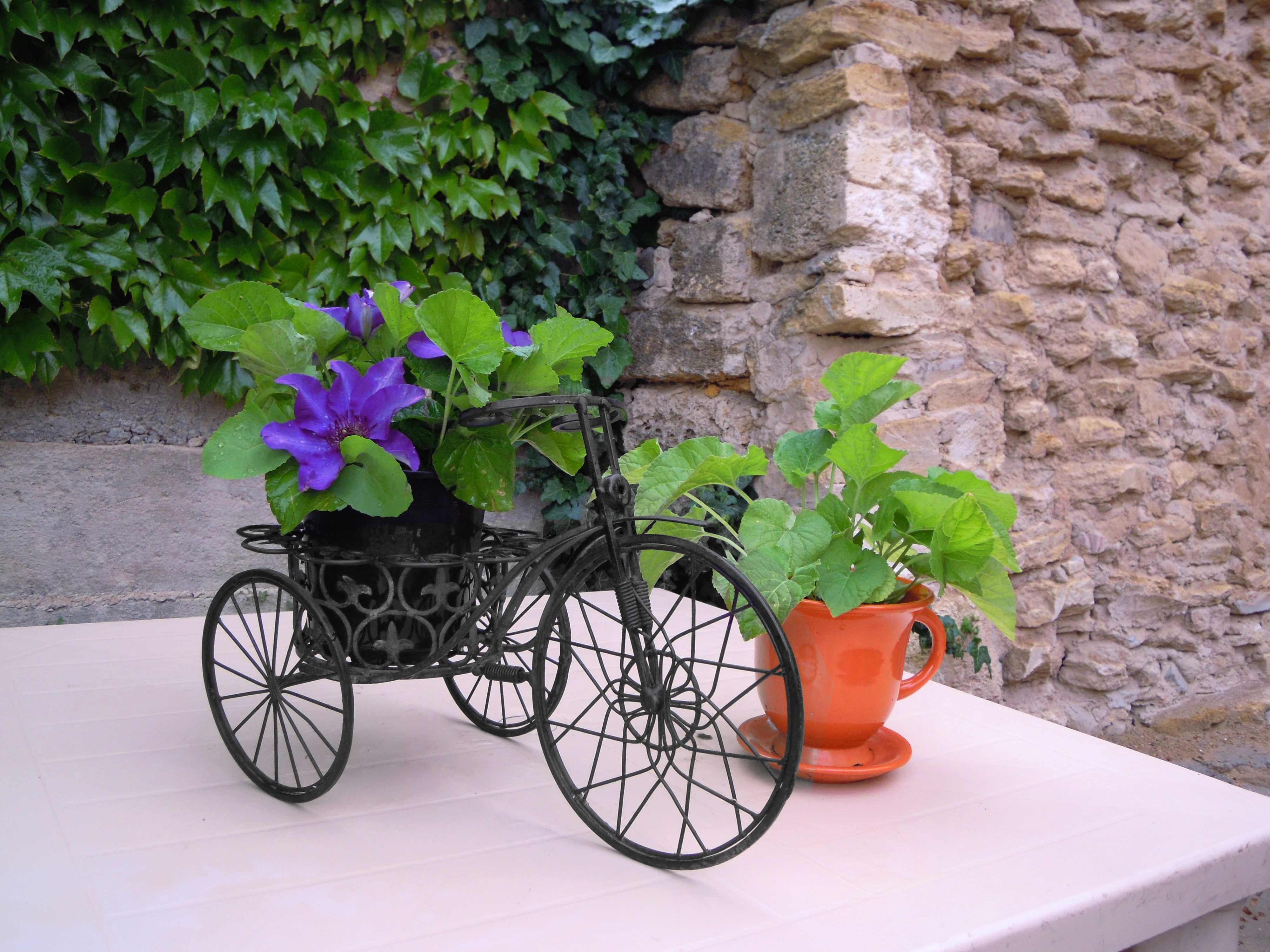 Велосипед для ваших цветов, кашпо