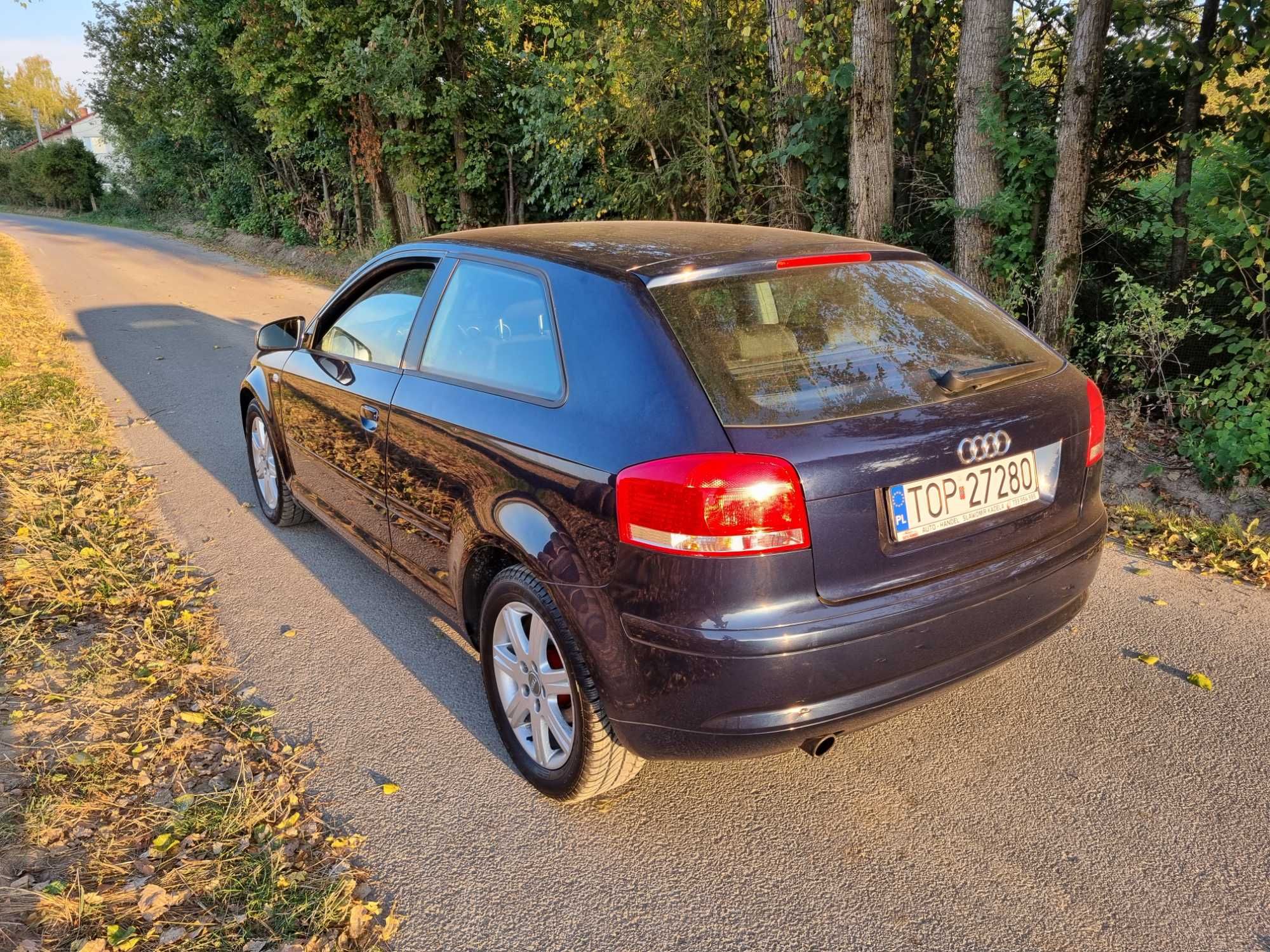 Audi A3, 8P,1.6 ,MPI,102KM