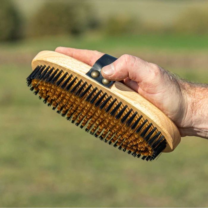 Szczotka z mosiężnego i nylonowego włosia do skóry i sierści Konia