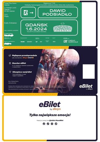 Bilet na koncert Dawida Podsiadło 1.06.2024 Gdańsk - Płyta