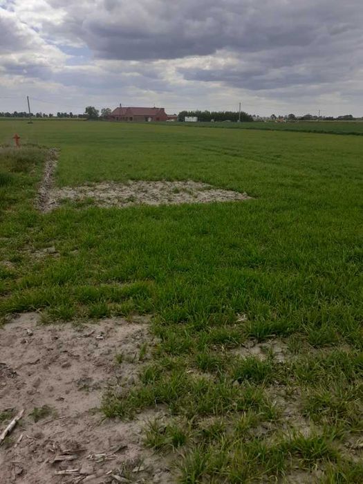 Działka budowlana Czerlejno