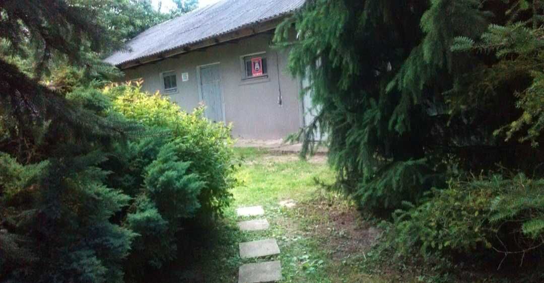 Siedlisko w okolicach Kazimierza Dolnego