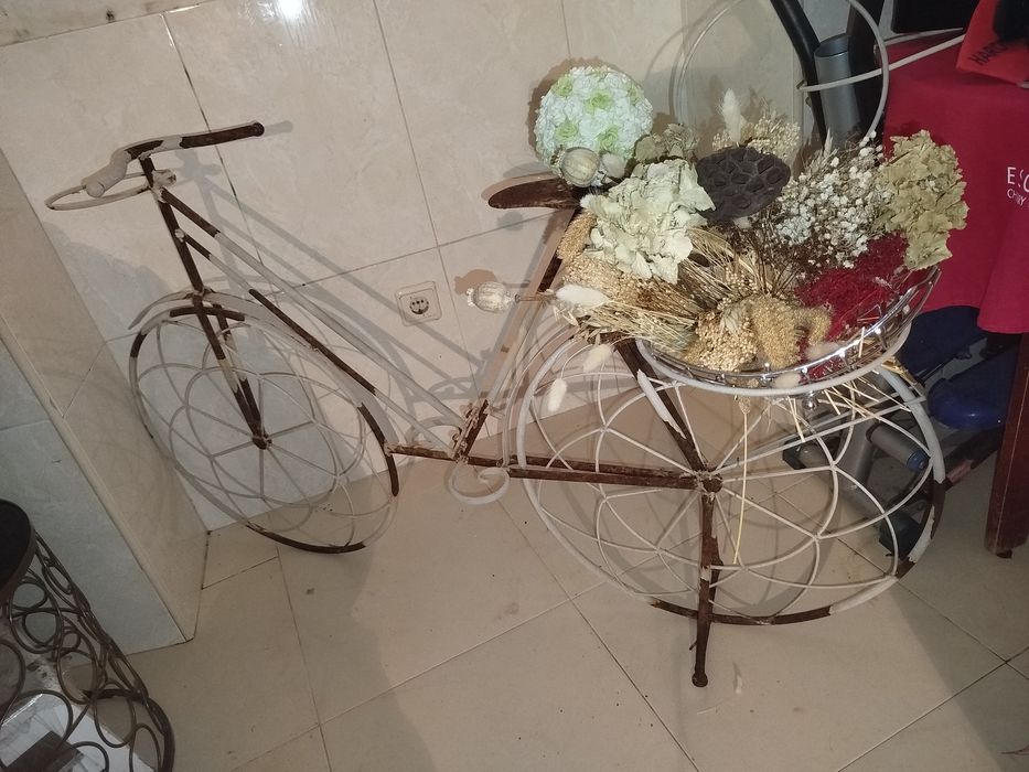 Bicicleta floreira, precisa pintura
