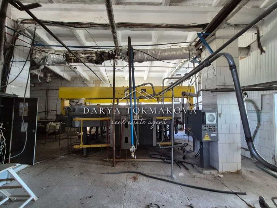 Продаж Піщанський молокозавод Без%