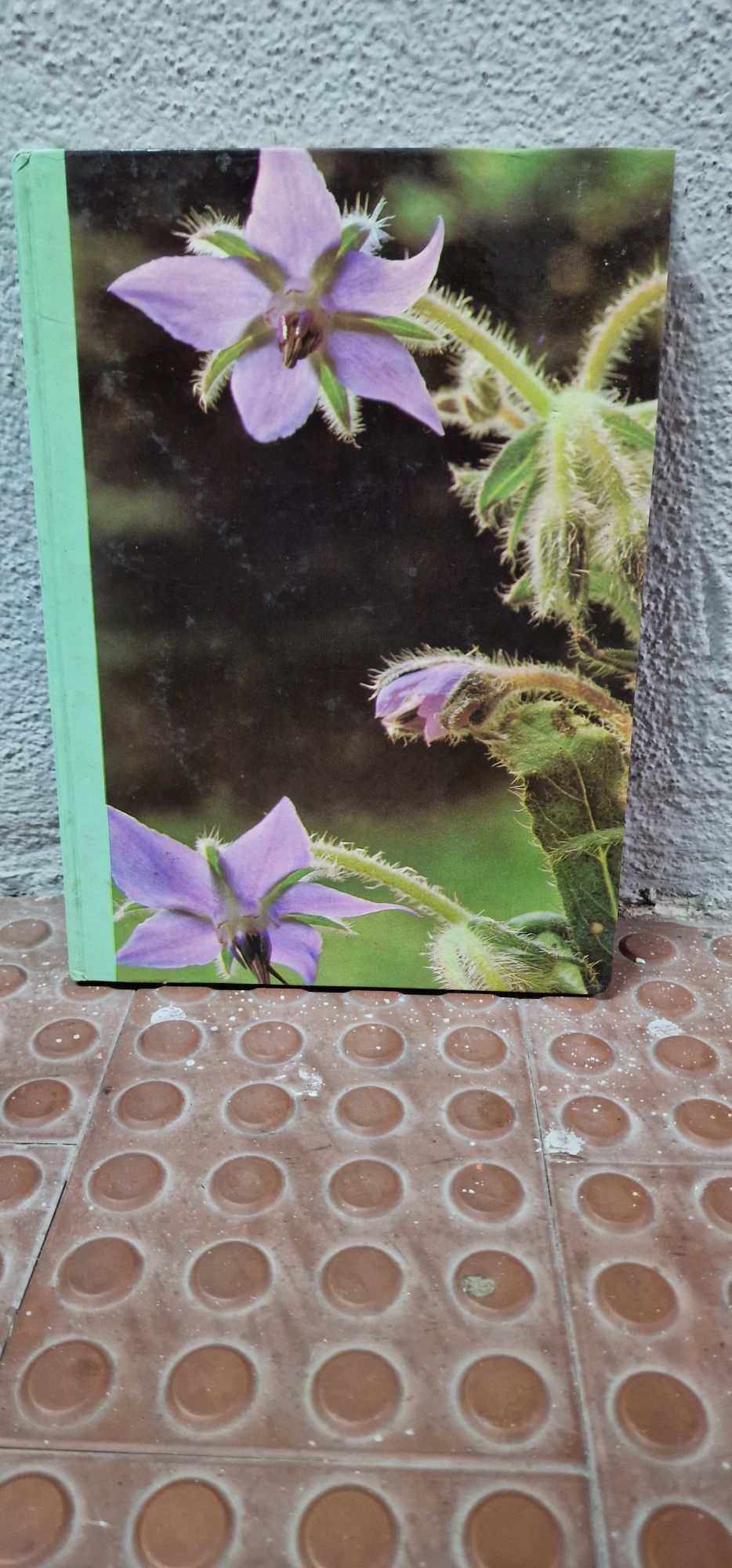 Enciclopédia das plantas