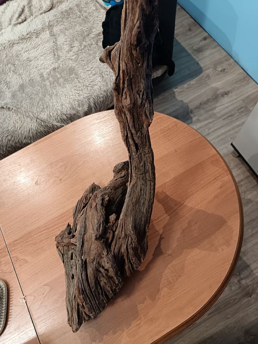 Duży korzeń do akwarium