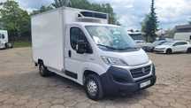 Fiat Ducato  2.3 2016 CHŁODNIA Agregat 246 tyś Mroźnia -29 Niskopodwoziowy Kontener